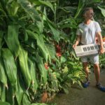 LeoTardin_plantes_web